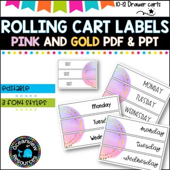 10 Drawer Rolling Cart Labels | PINK AND GOLD DESIGN I Teacher Trolley LABELS